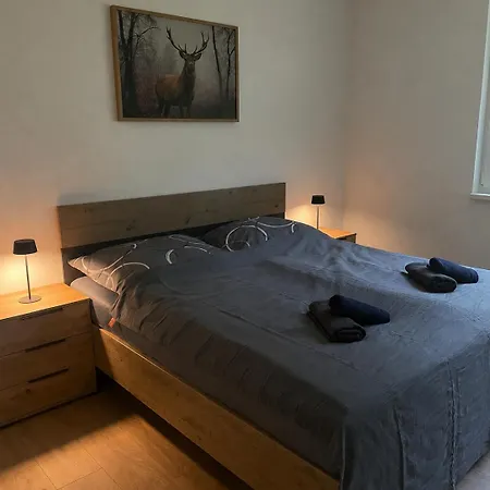 Alpinchalet Апартаменты *